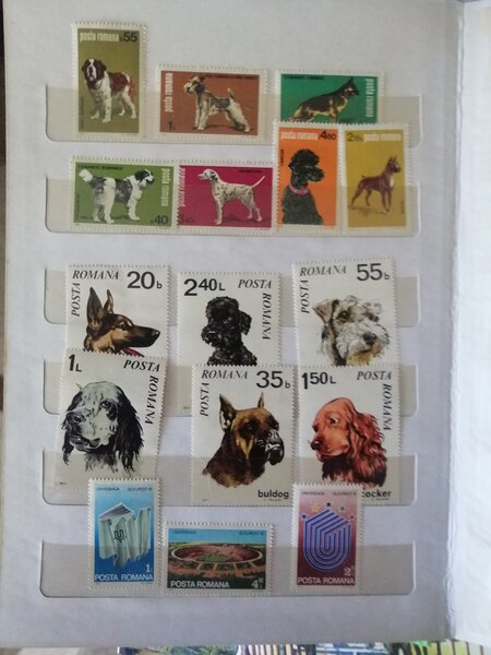 Vand 5 clasoare cu serii de timbre, colite stare foarte buna. Pret: 500 lei